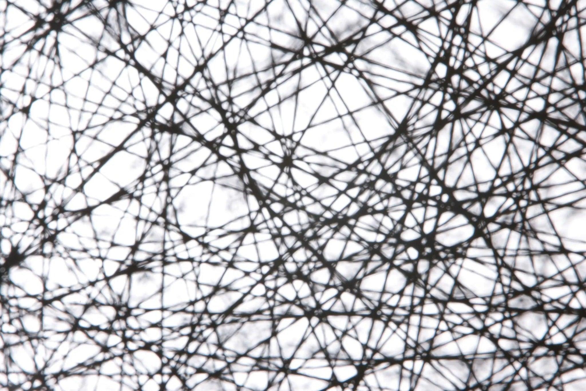 Lampa wisząca RANDOM LIGHT II czarny Moooi Eye on Design