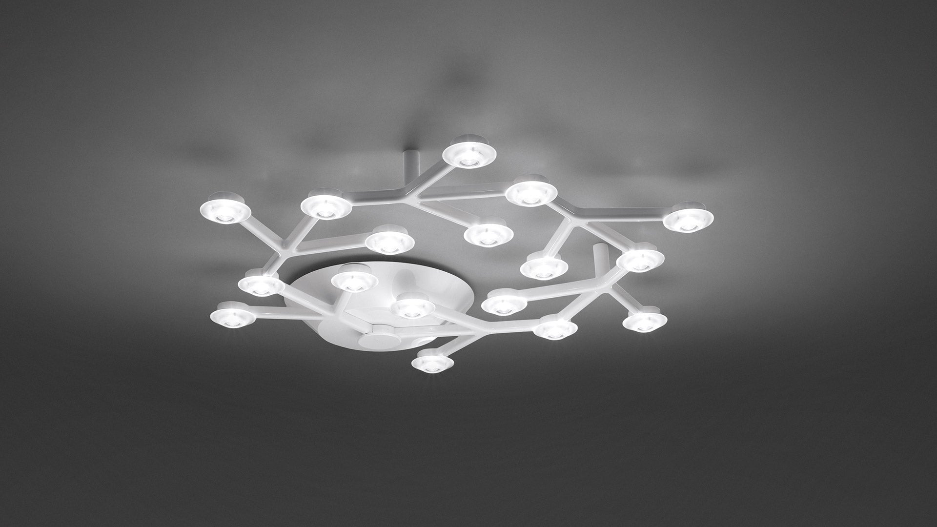 LED Ceiling Lamp NET CIRCLE White
