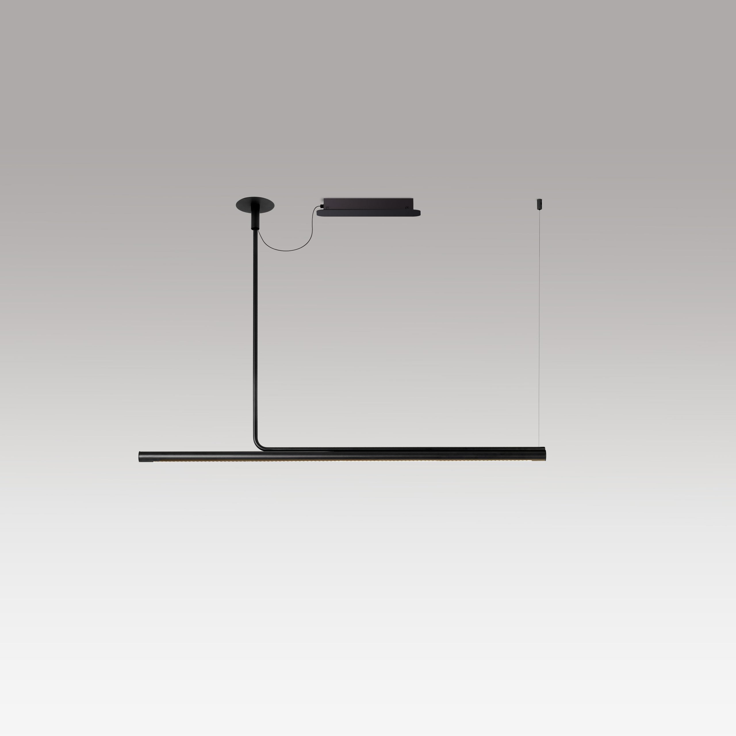 Hanglamp AMBROSIA PRO zwart