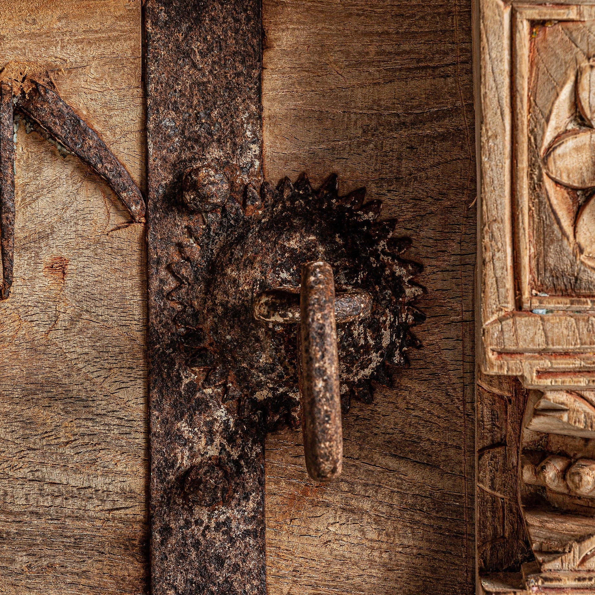 PHALODI Chest Mango Wood