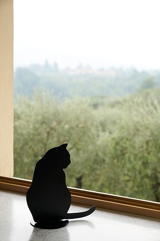 Ombres de Chats Decoratie zwart