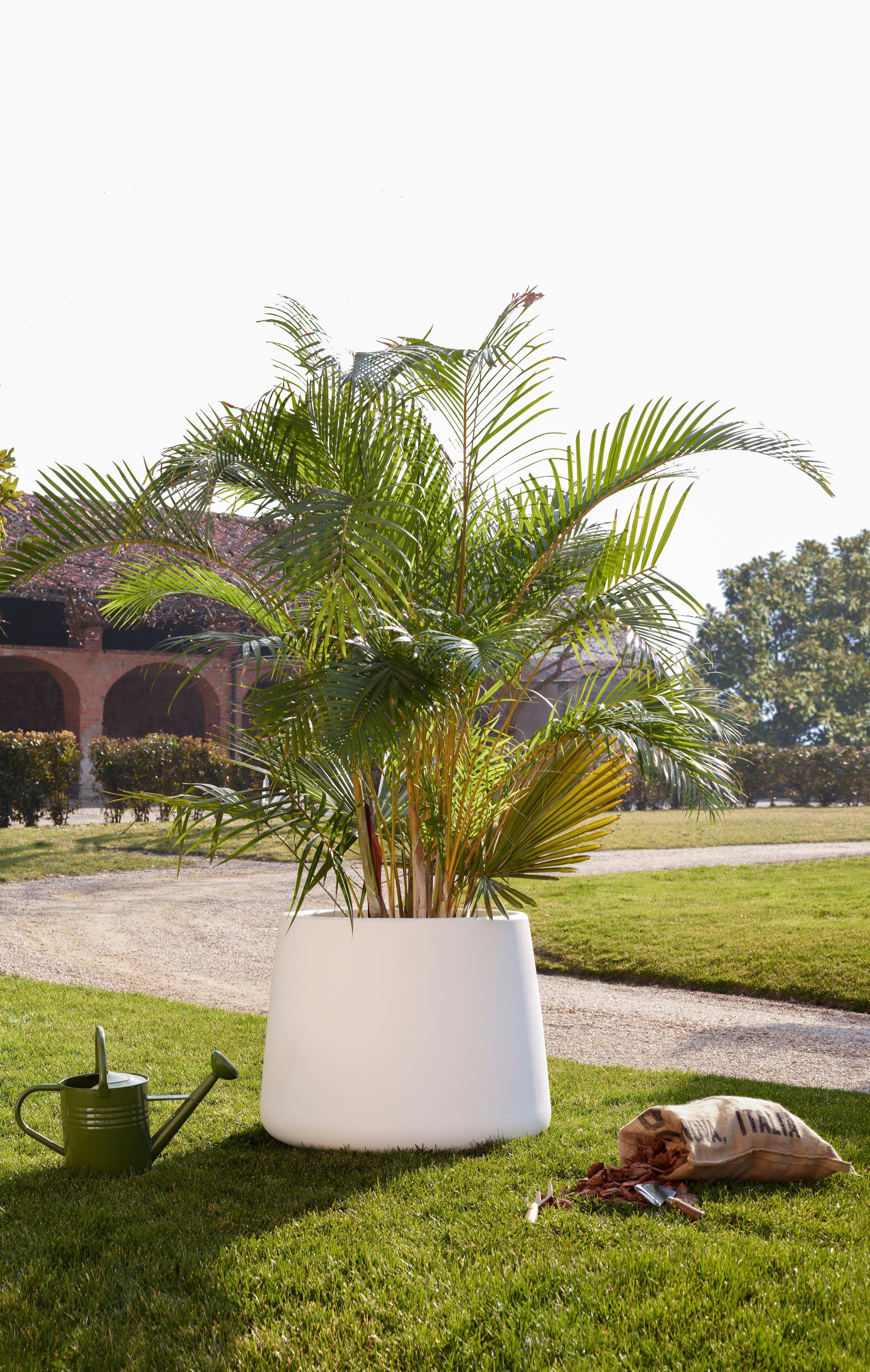 Osłonka na doniczkę TUBBY Magis Eye on Design