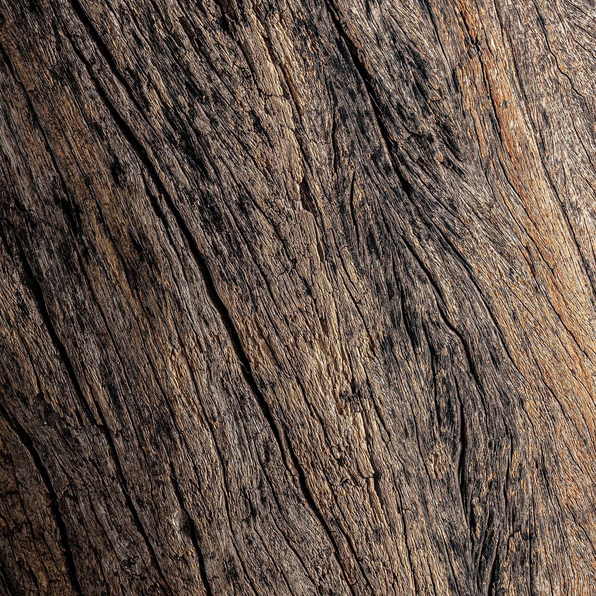 Kolumna MALUNG tropisch hout