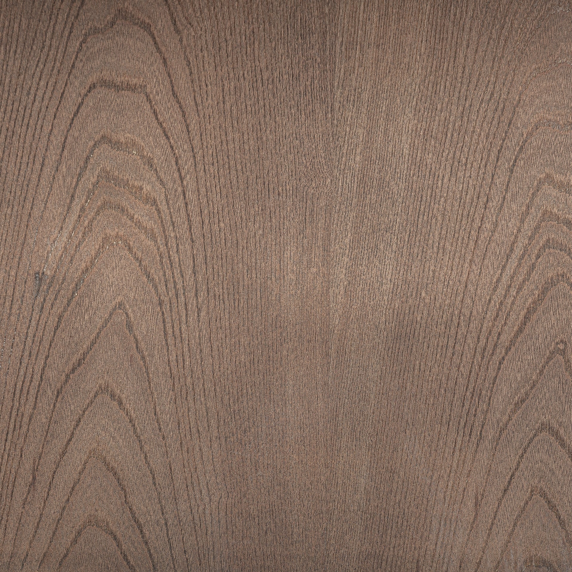 JACQUARD Bench in Elm Wood with Beige Seat