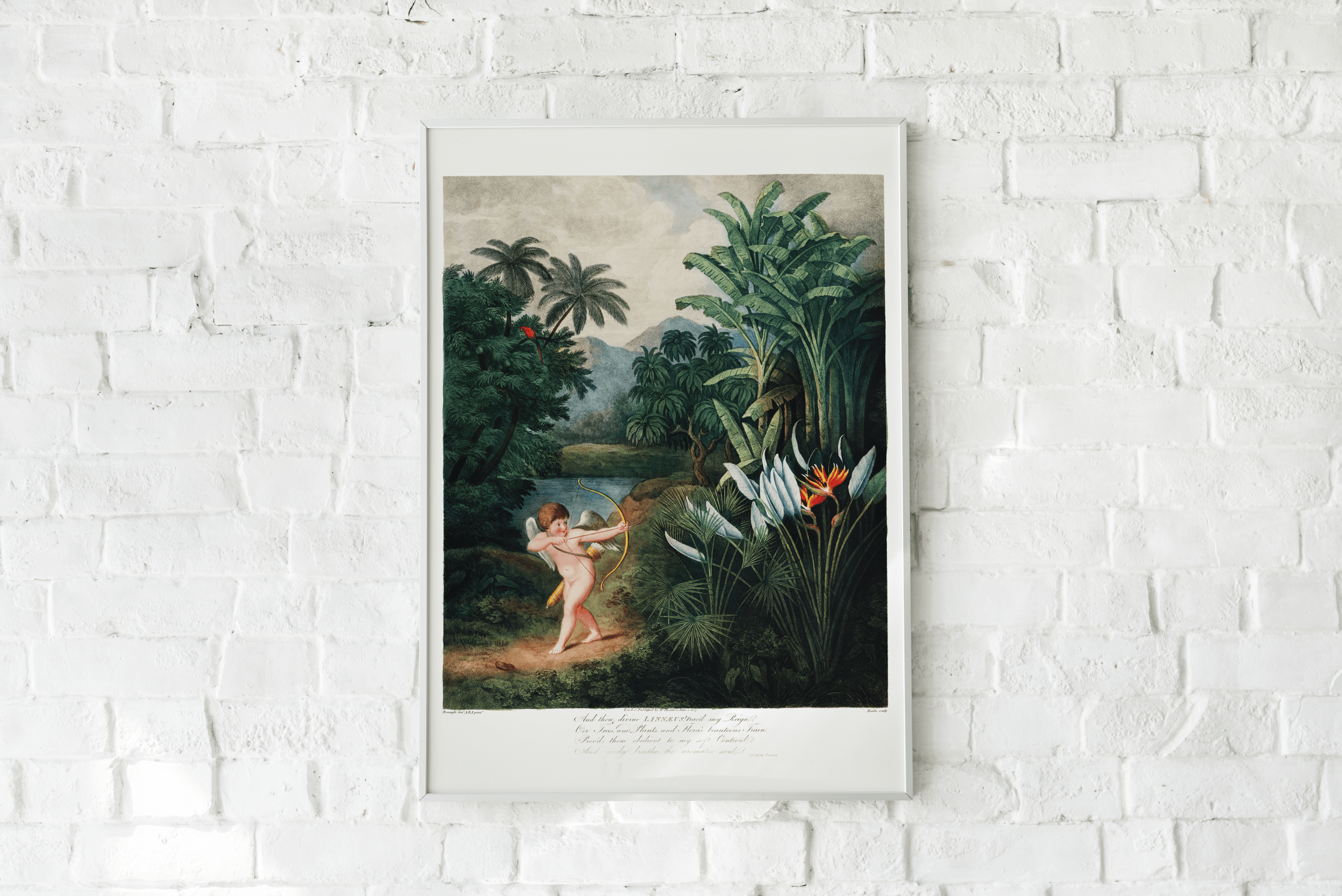 Plakat CUPID Eye on Design Eye on Design