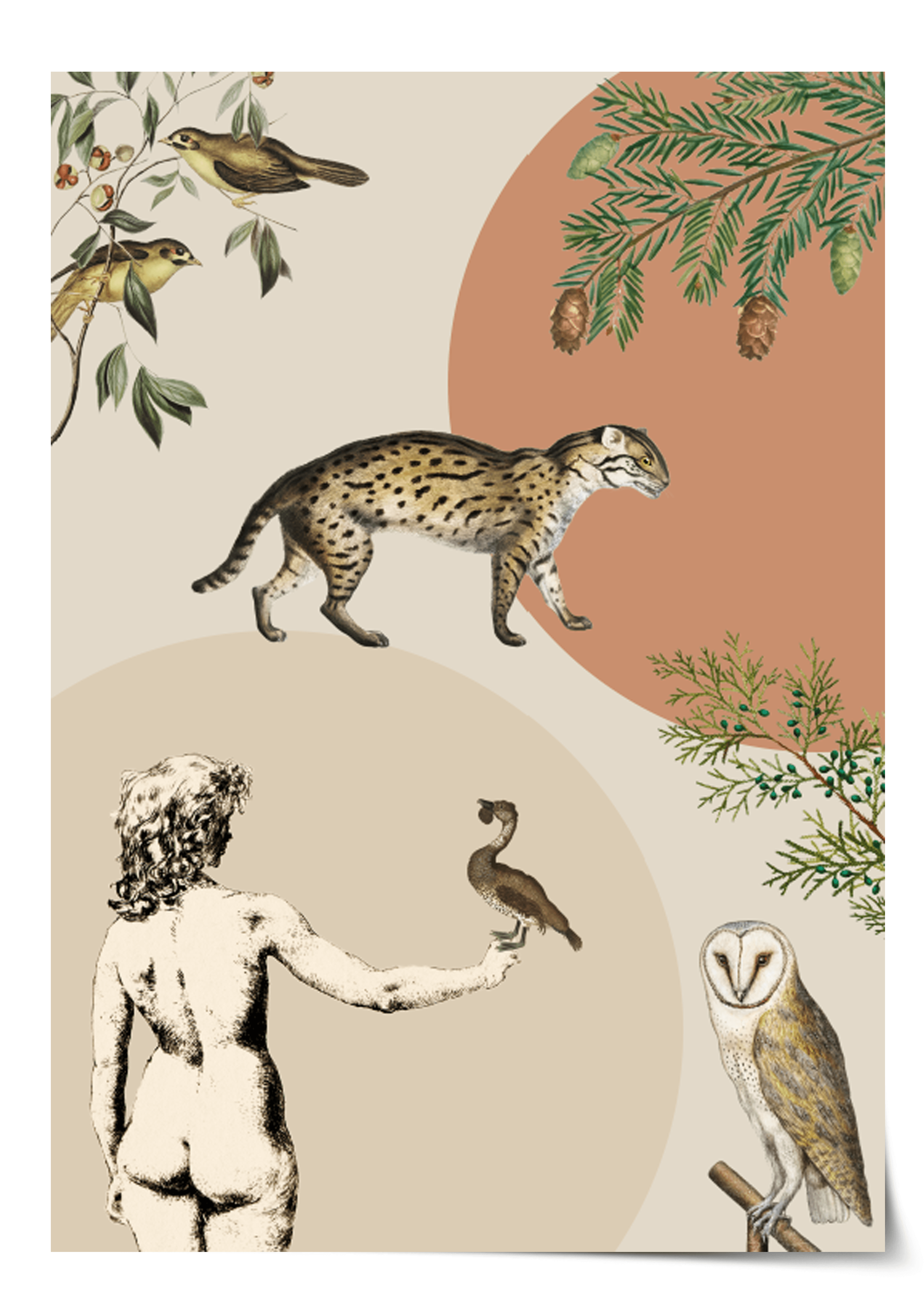 Plakat DAYDREAMING Eye on Design Eye on Design