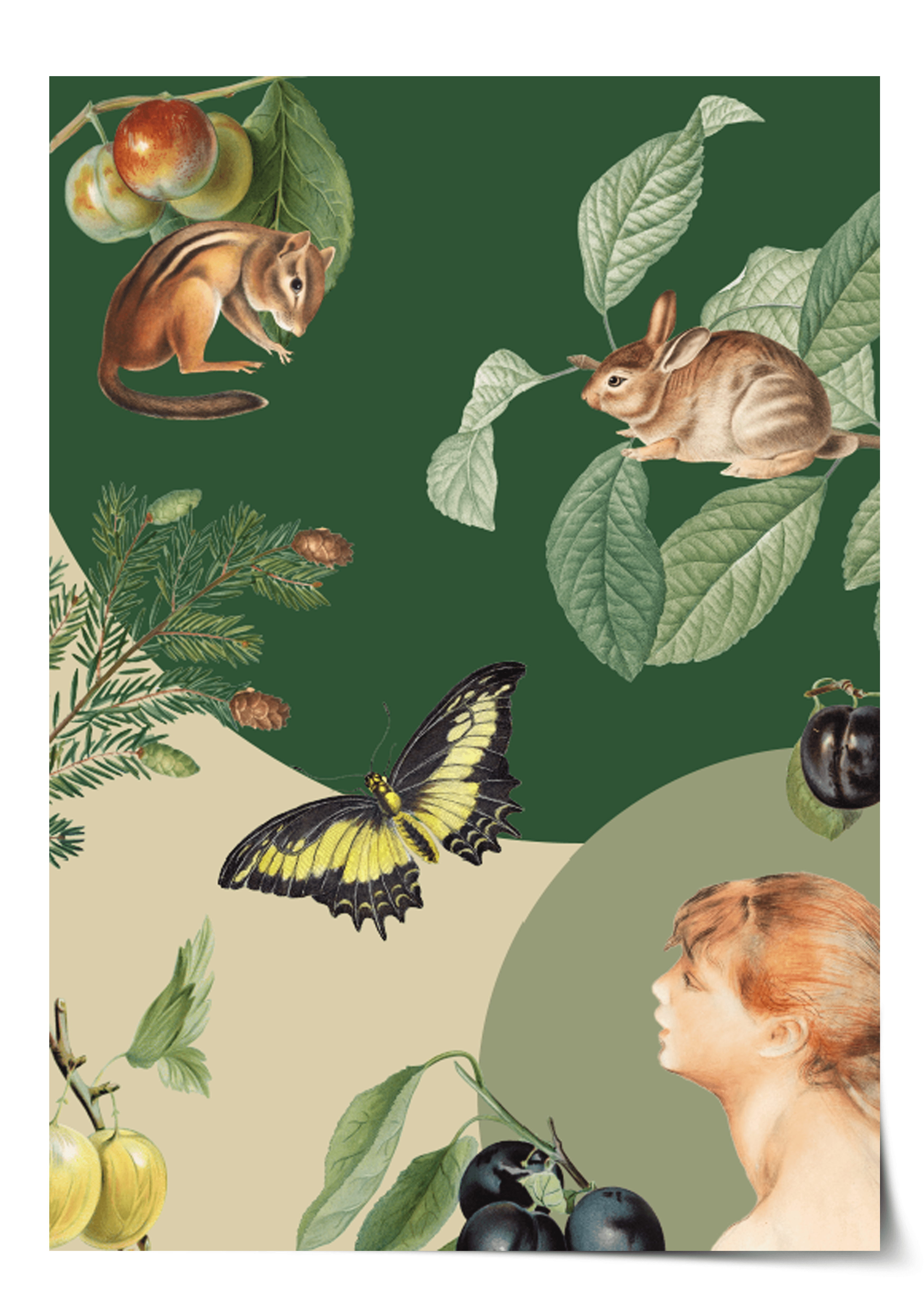 Plakat ENCHANTED Eye on Design Eye on Design