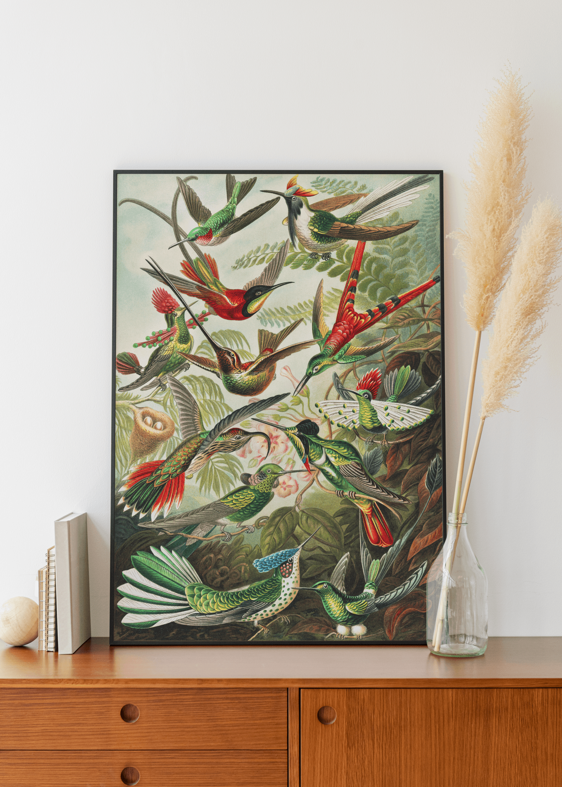 Plakat TROCHILIDAE Eye on Design Eye on Design