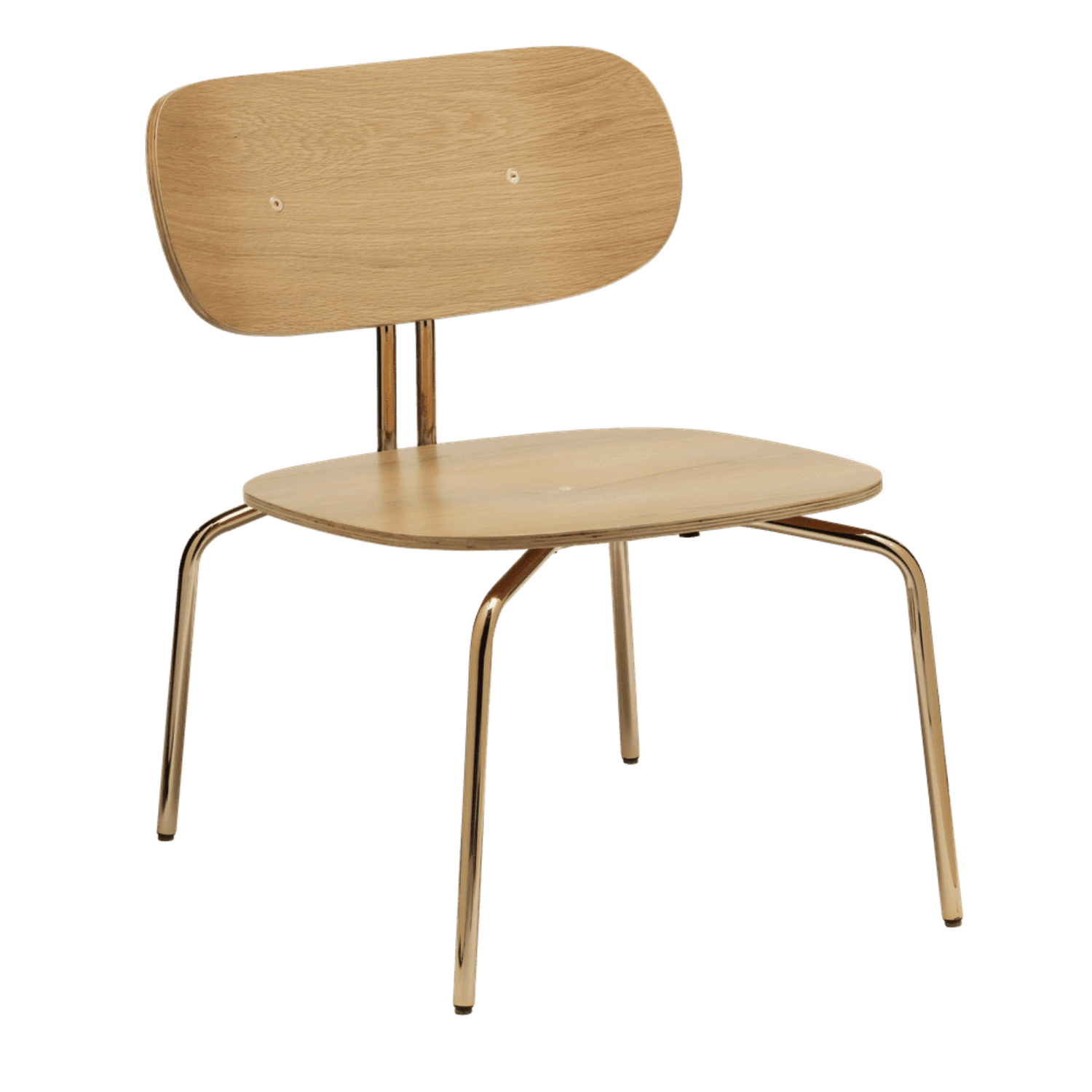 Neugieriger Eichenfurnier -Sessel mit einer goldenen Basis