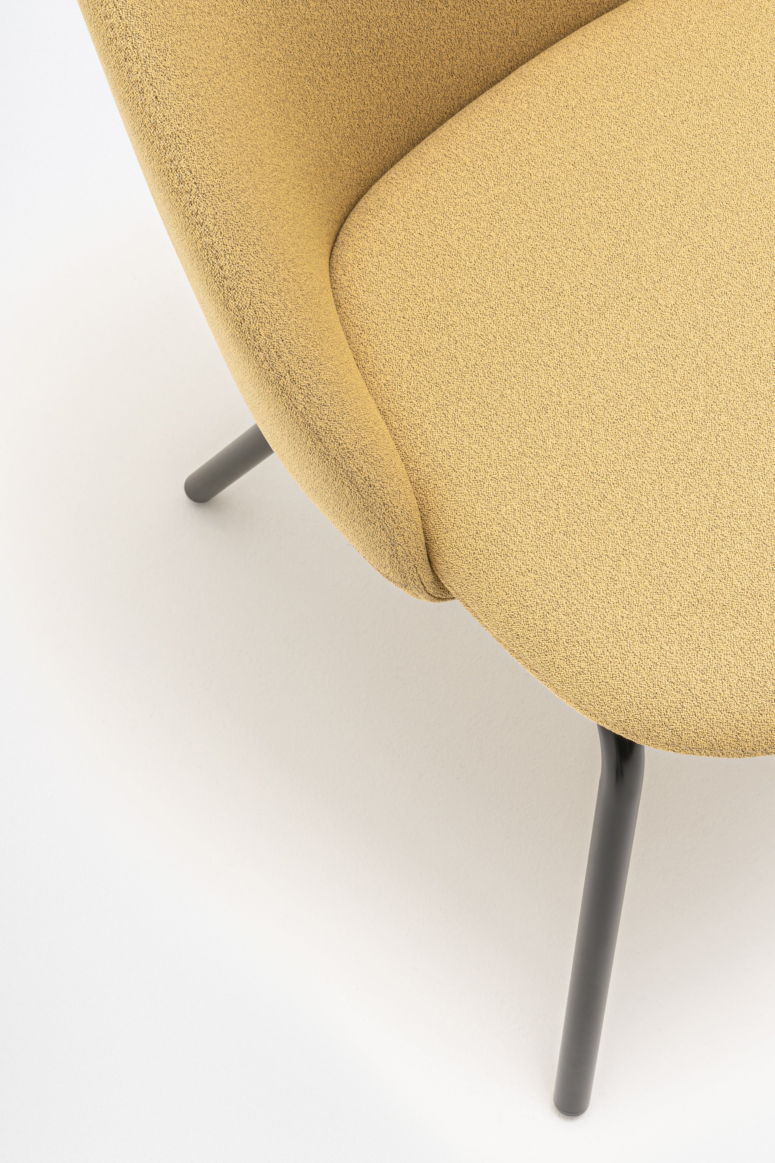 Sessel mit niedriger Rückenlehne parallel vier legerde Basis