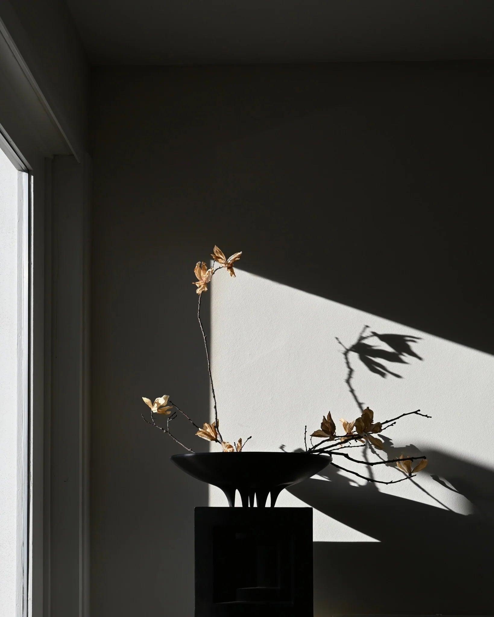 Taca MEDUSA ciemnobrązowy 101 Copenhagen Eye on Design