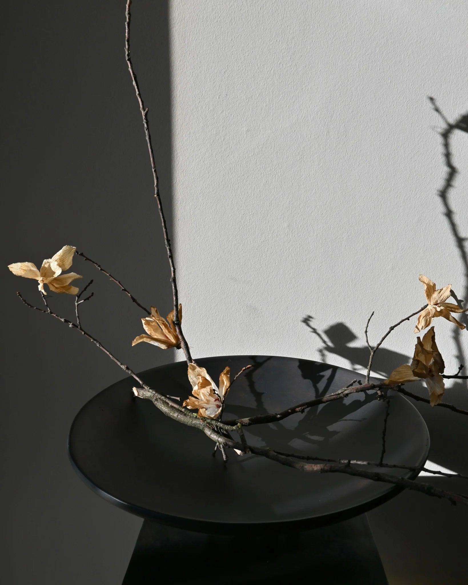 Taca MEDUSA ciemnobrązowy 101 Copenhagen Eye on Design