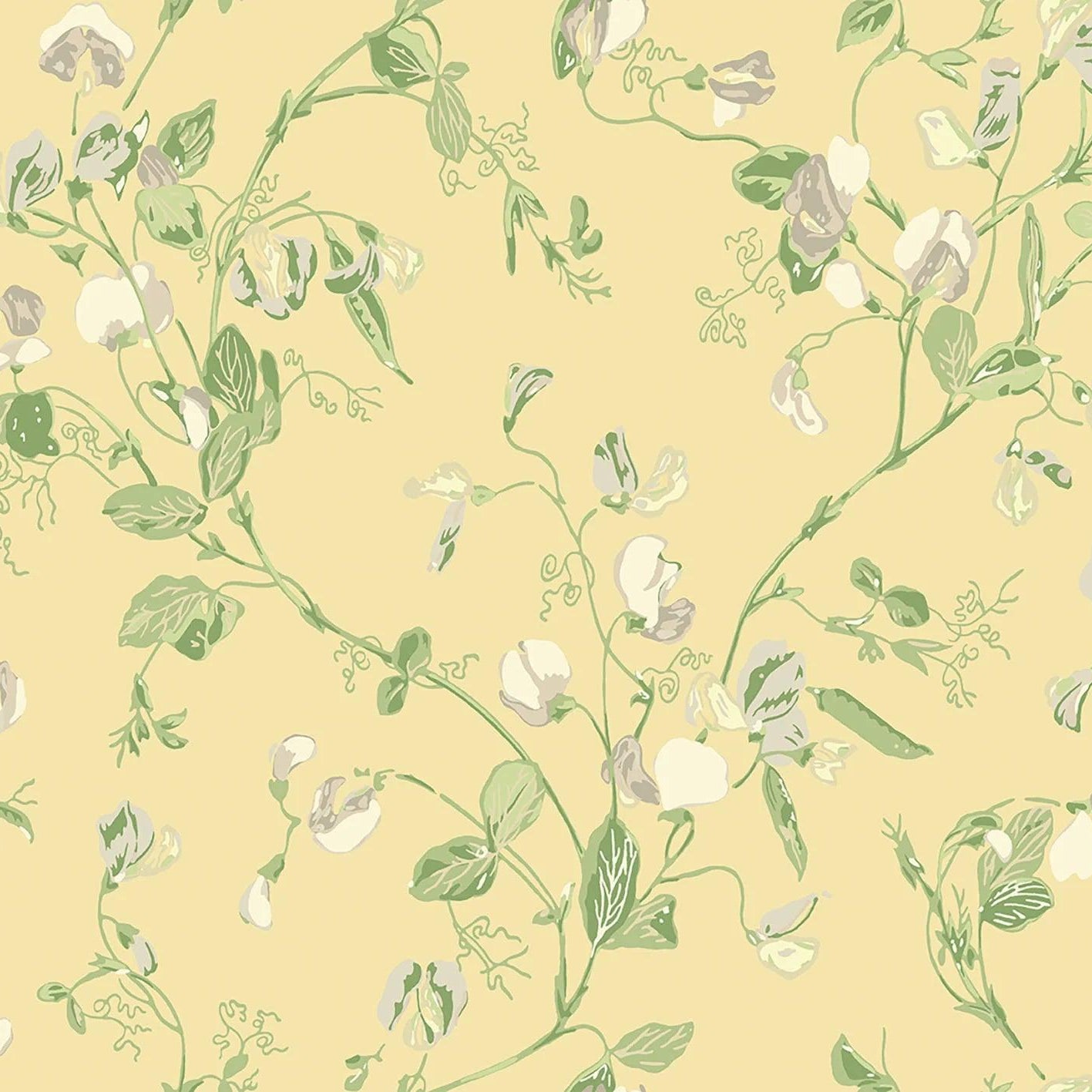 Tapeta ARCHIVE TRADITIONAL - Sweet Pea Cole & Son Eye on Design