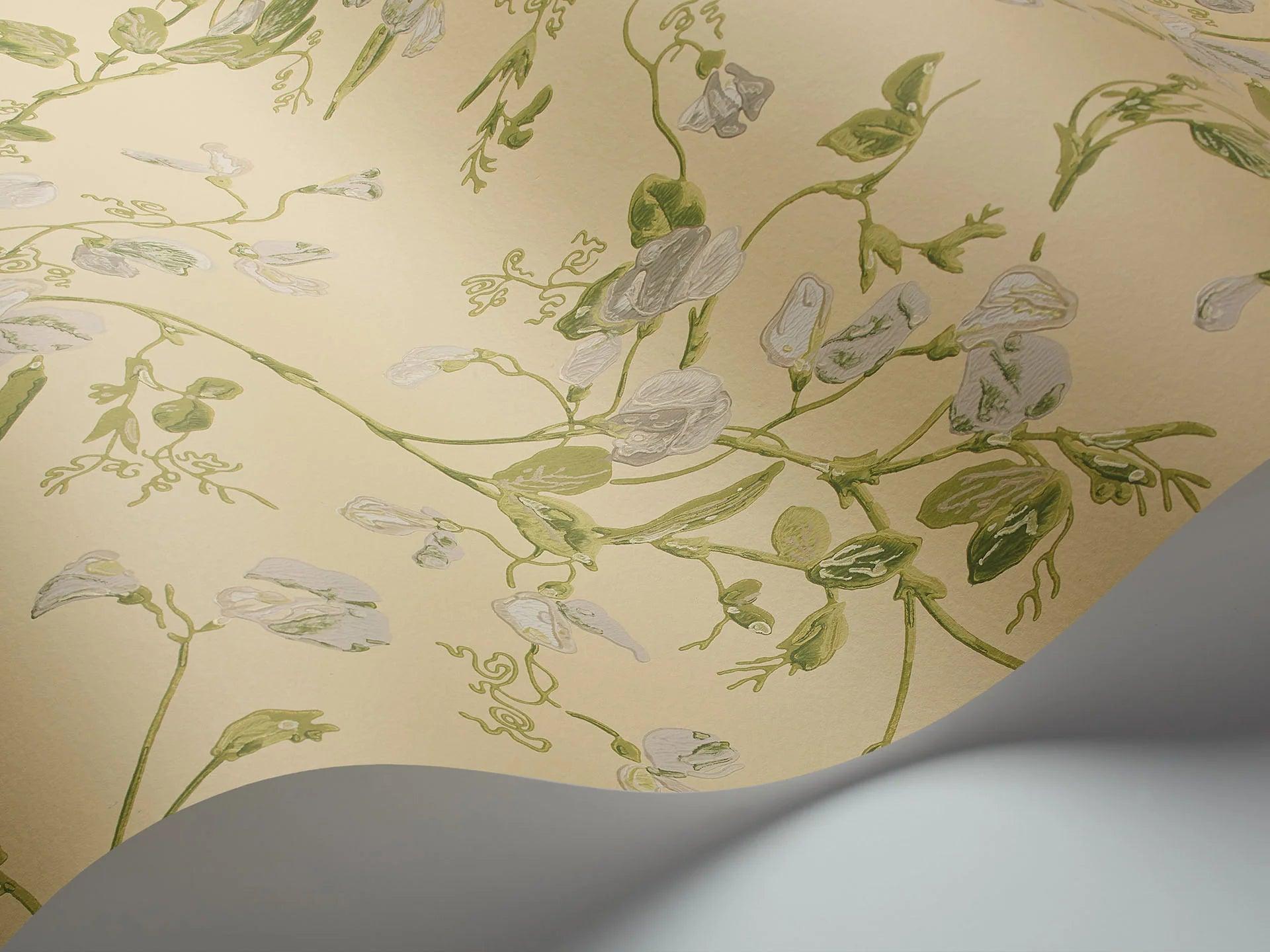 Tapeta ARCHIVE TRADITIONAL - Sweet Pea Cole & Son Eye on Design