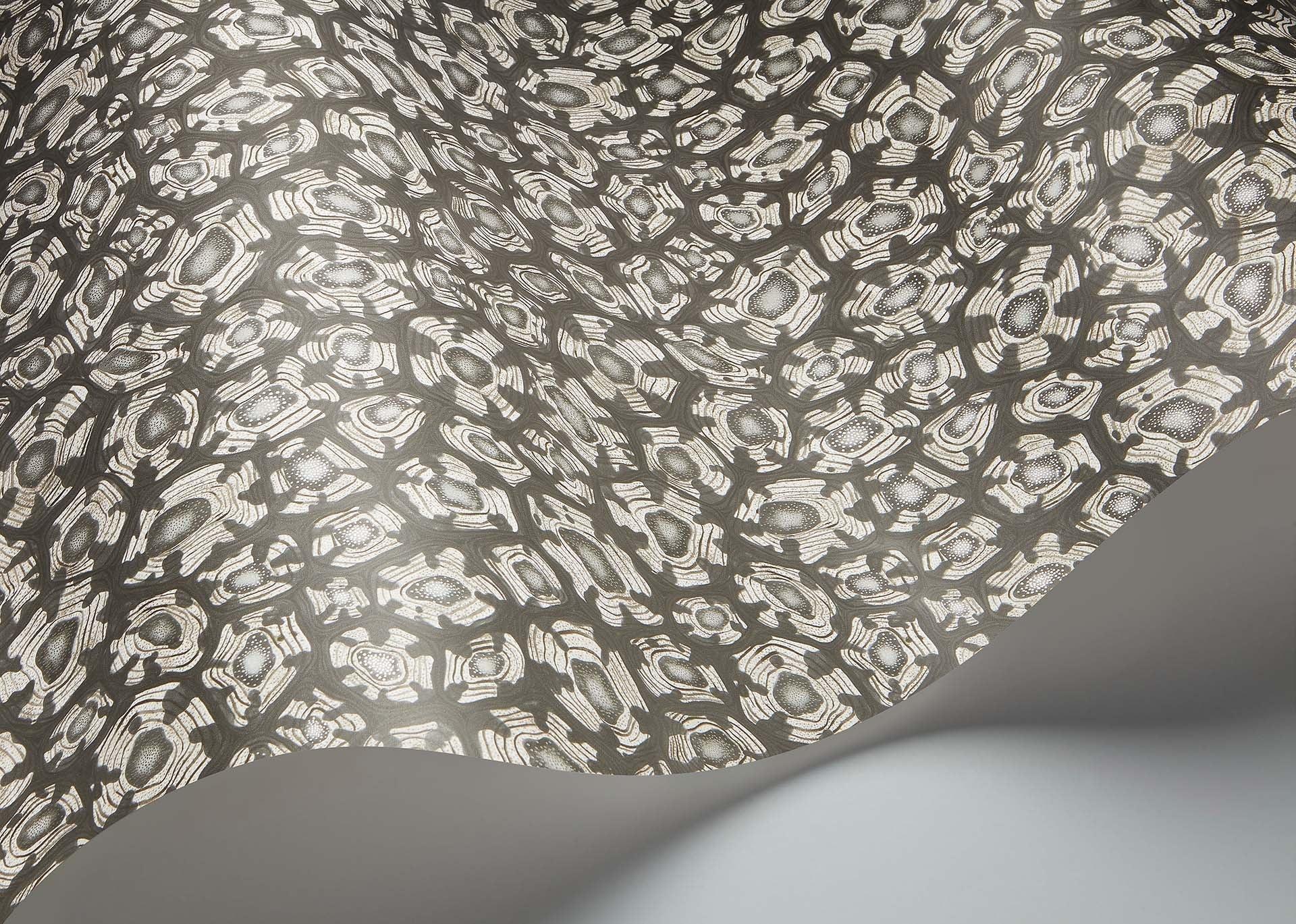 Tapeta ARDMORE JABULA - Savanna Shell biel i metaliczne srebro Cole & Son Eye on Design
