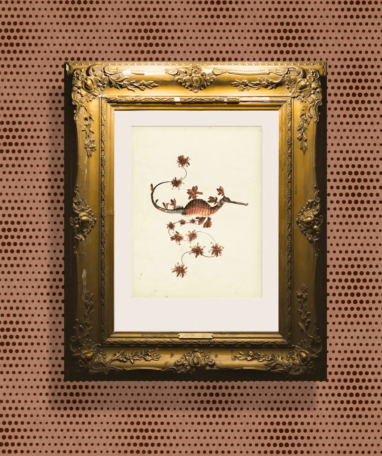 Tapeta BLOOMING SEADRAGON - COOPER Arte Eye on Design