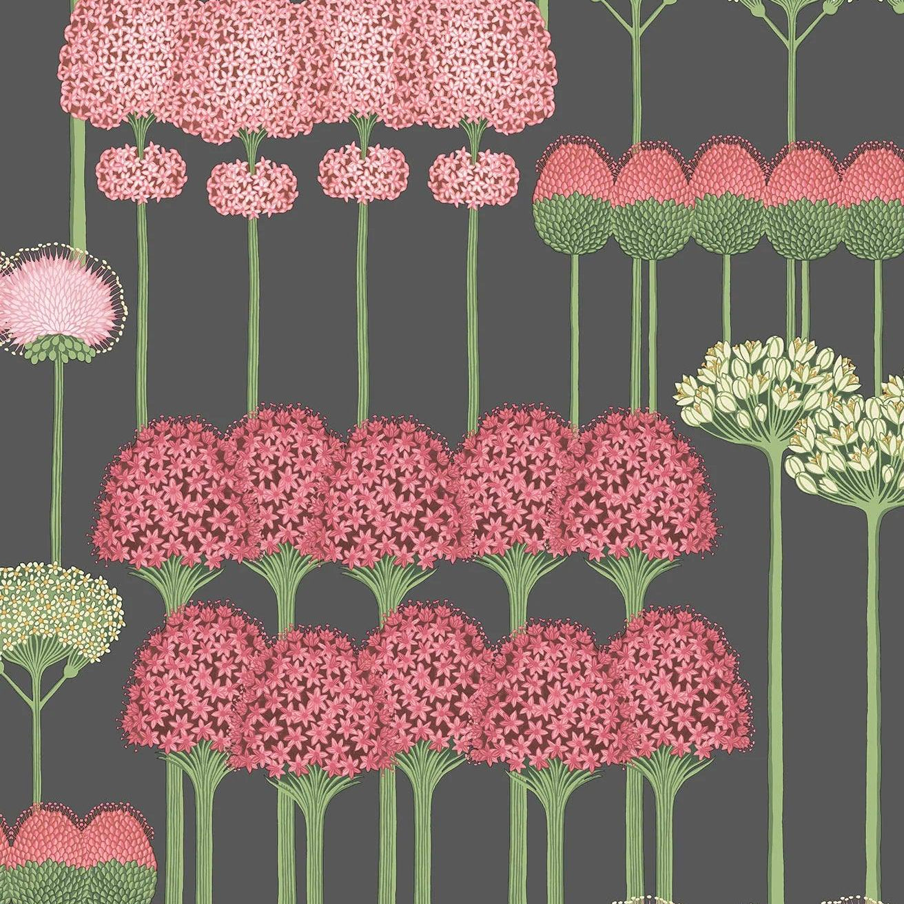 Tapeta z motywem roślinnym kwiatów BOTANICAL BOTANICA - Allium róż na czarnym – Cole & Son