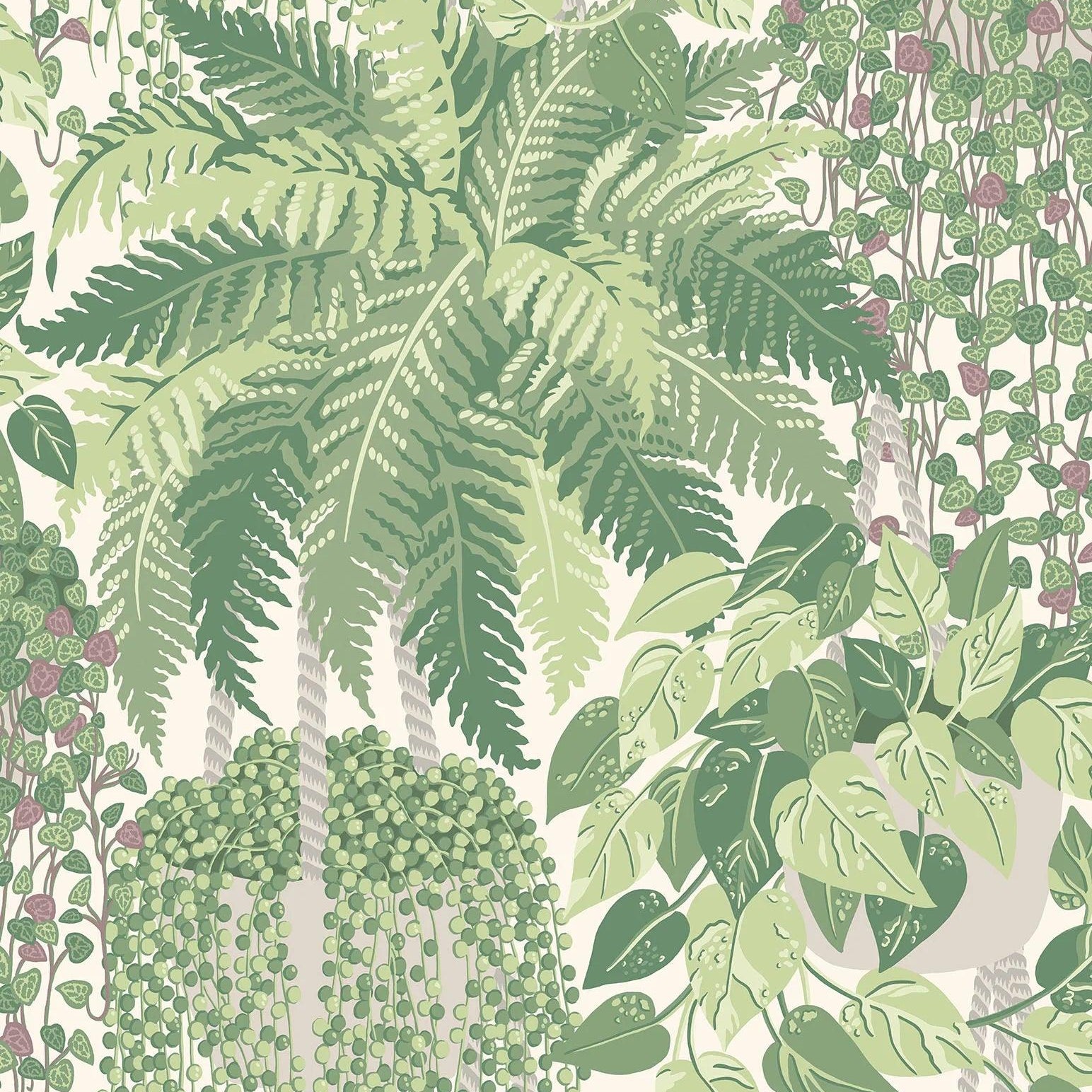 Tapeta z motywem roślinnym liści BOTANICAL BOTANICA - Fern zielony – Cole & Son