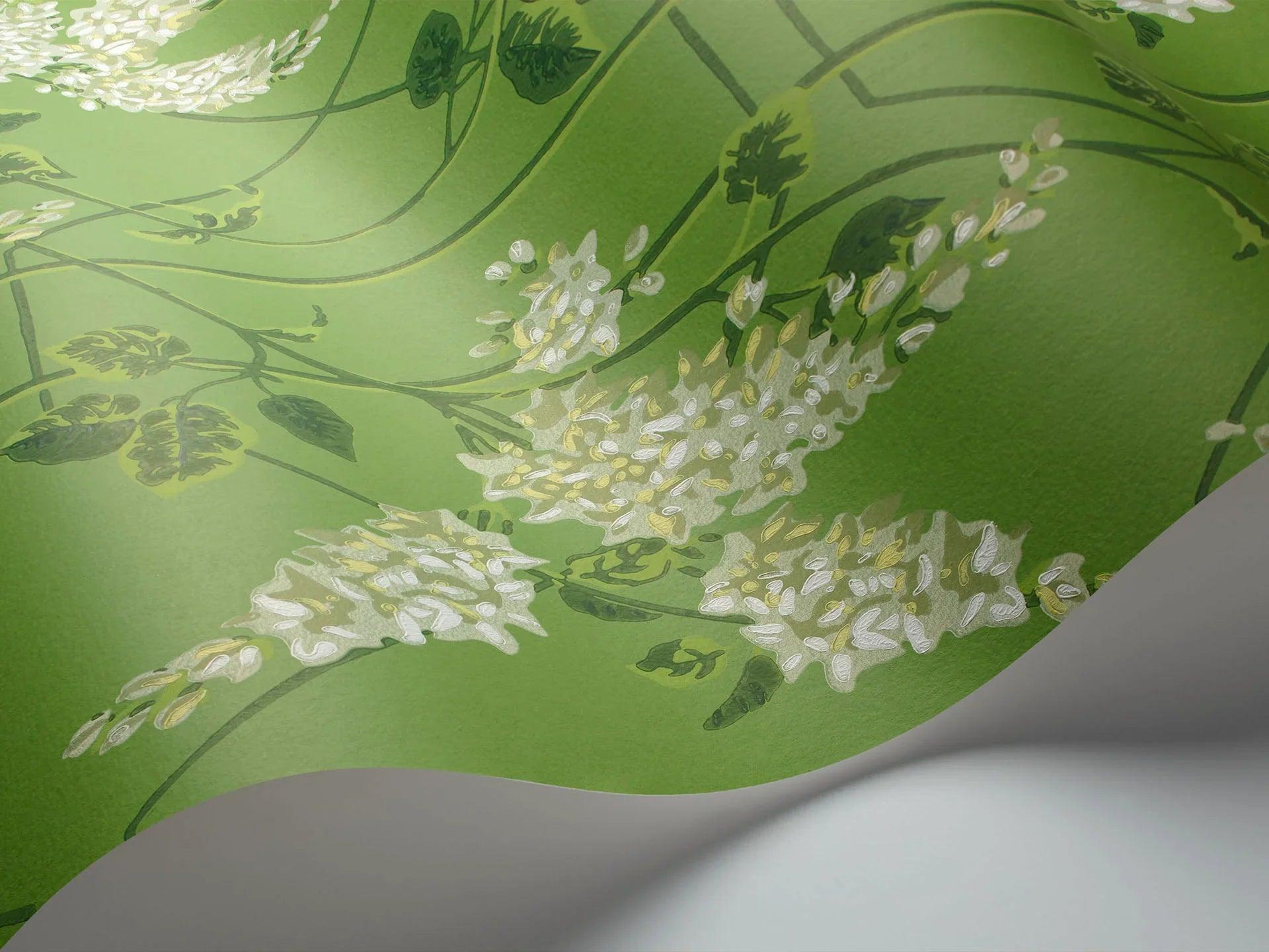 Tapeta BOTANICAL BOTANICA - Wisteria zielony Cole & Son Eye on Design