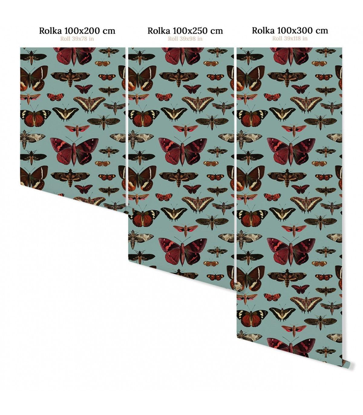 Tapeta BUTTERFLIES TURQUOISE Wallcolors Eye on Design
