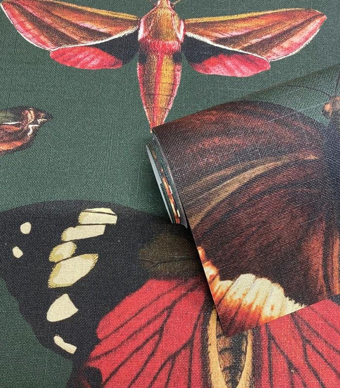 Tapeta BUTTERFLIES VERT Wallcolors Eye on Design