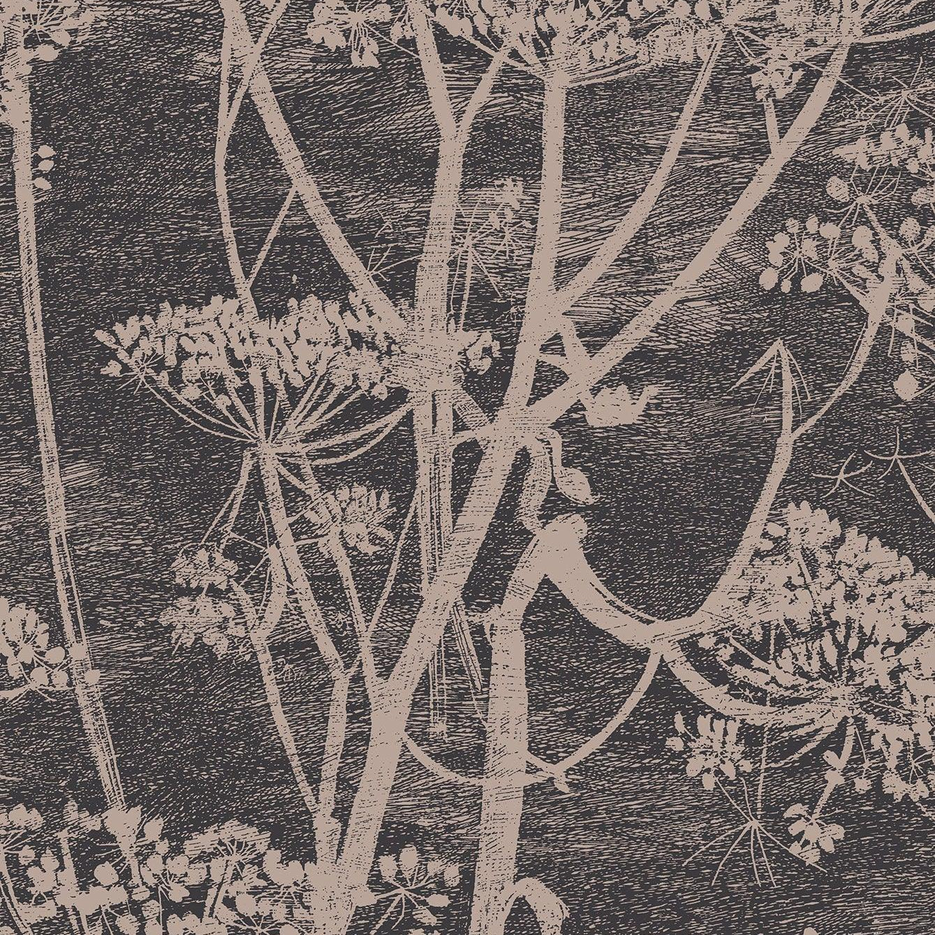 Tapeta z motywem roślinnym kwiatów kopru CONTEMPORARY COLLECTION - Cow Parsley ciemny brąz – Cole & Son