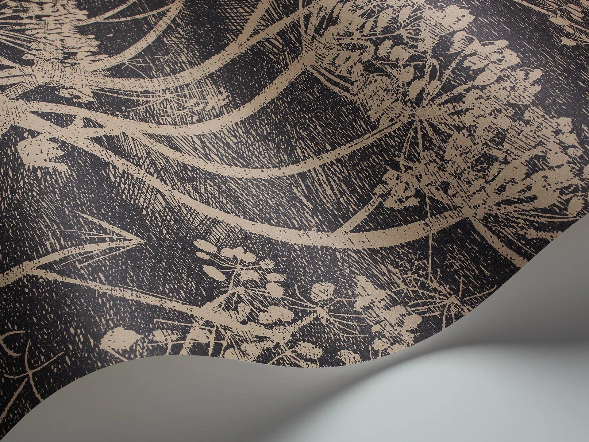 Tapeta z motywem roślinnym kwiatów kopru CONTEMPORARY COLLECTION - Cow Parsley ciemny brąz na ścianę