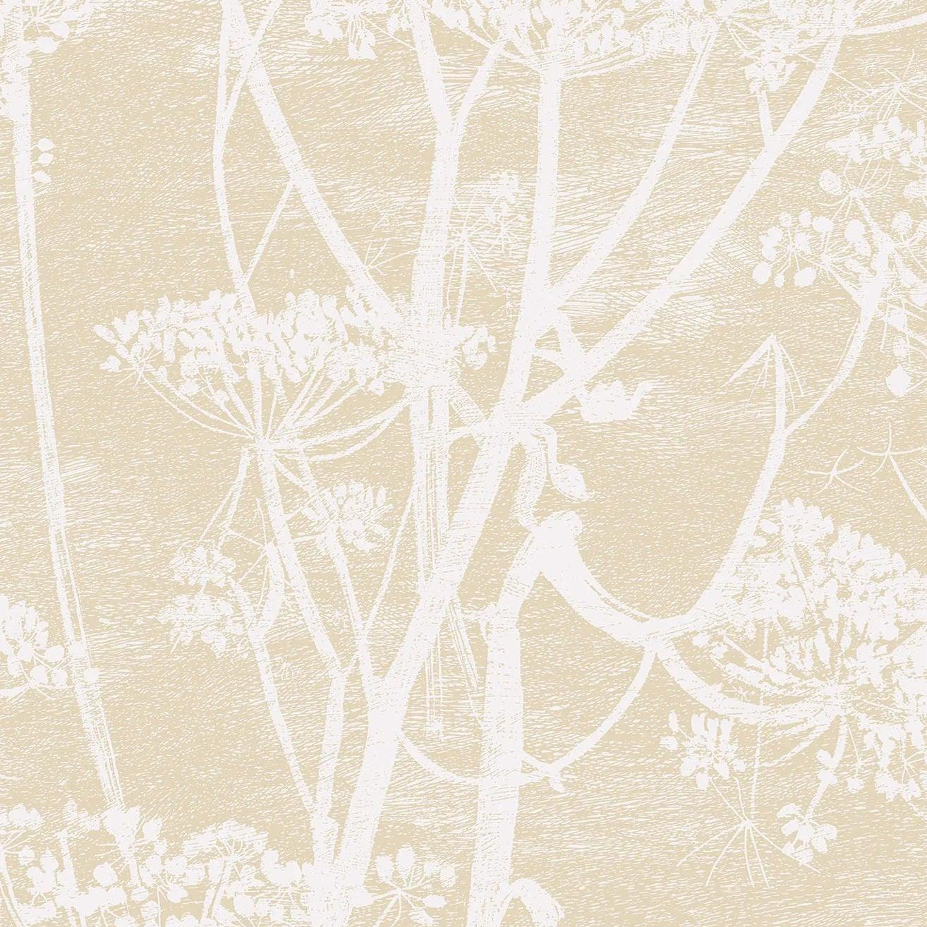 Tapeta CONTEMPORARY COLLECTION - Cow Parsley ciepły beż Cole & Son Default Title Eye on Design