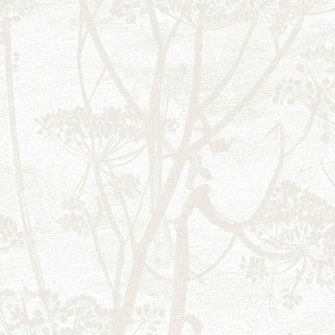 Tapeta CONTEMPORARY COLLECTION - Cow Parsley pergamin Cole & Son Eye on Design