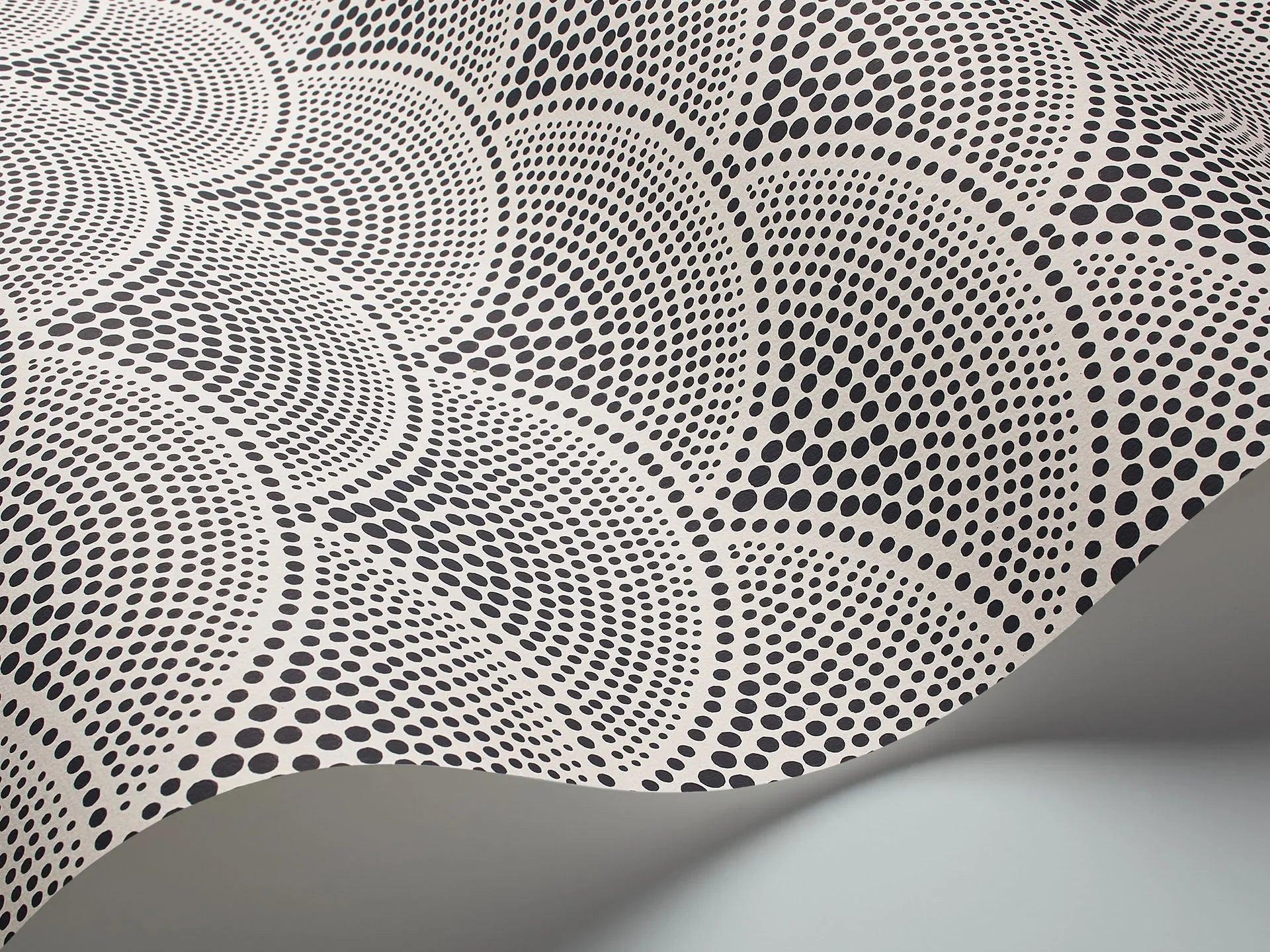 Tapeta CONTEMPORARY COLLECTION - Feather Fan czarny Cole & Son Eye on Design