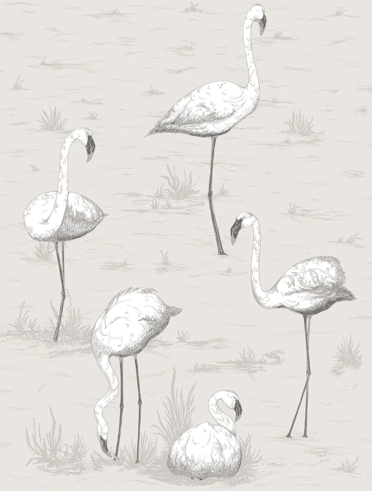 Wallpaper with an animal motif of flamingos CONTEMPORARY COLLECTION - Gray Flamingos