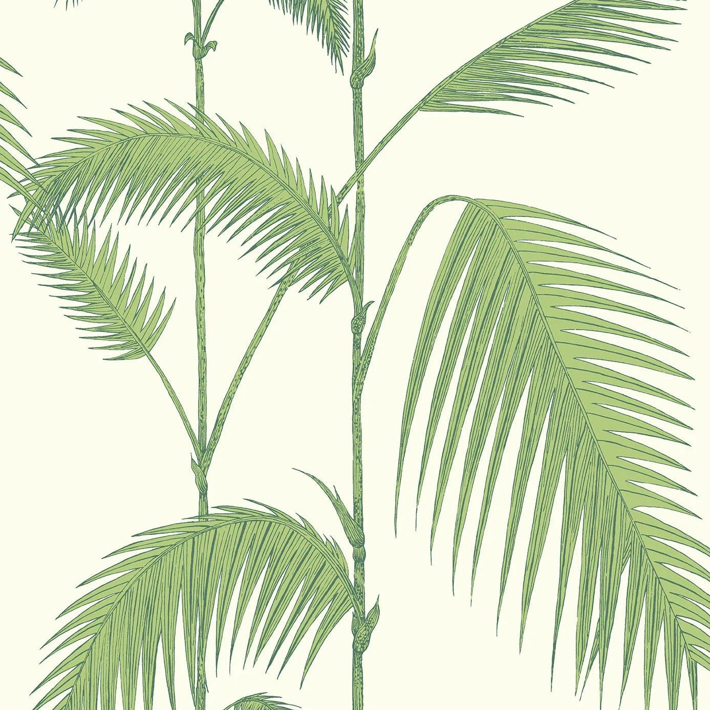 Tapeta CONTEMPORARY COLLECTION - Palm Leaves oliwkowy Cole & Son Default Title Eye on Design