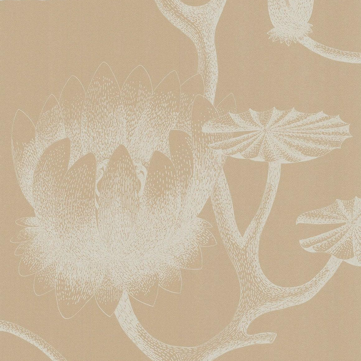 Tapeta z motywem roślinnym CONTEMPORARY RESTYLED - Lily piaskowy – Cole & Son