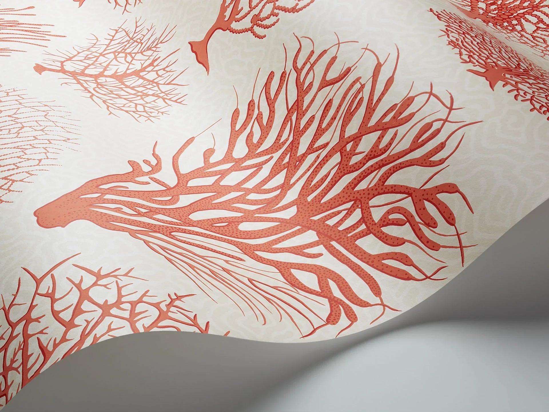 Tapeta CURIO - Seafern różowy na białym Cole & Son Eye on Design