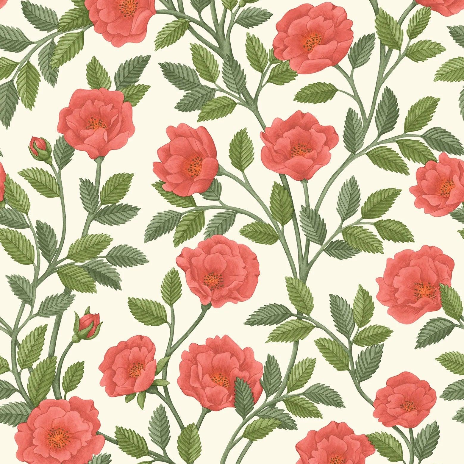 Tapeta z motywem roślinnym liści i kwiatów róży HRP GREAT MASTERS - Hampton Roses czerwony – Cole & Son