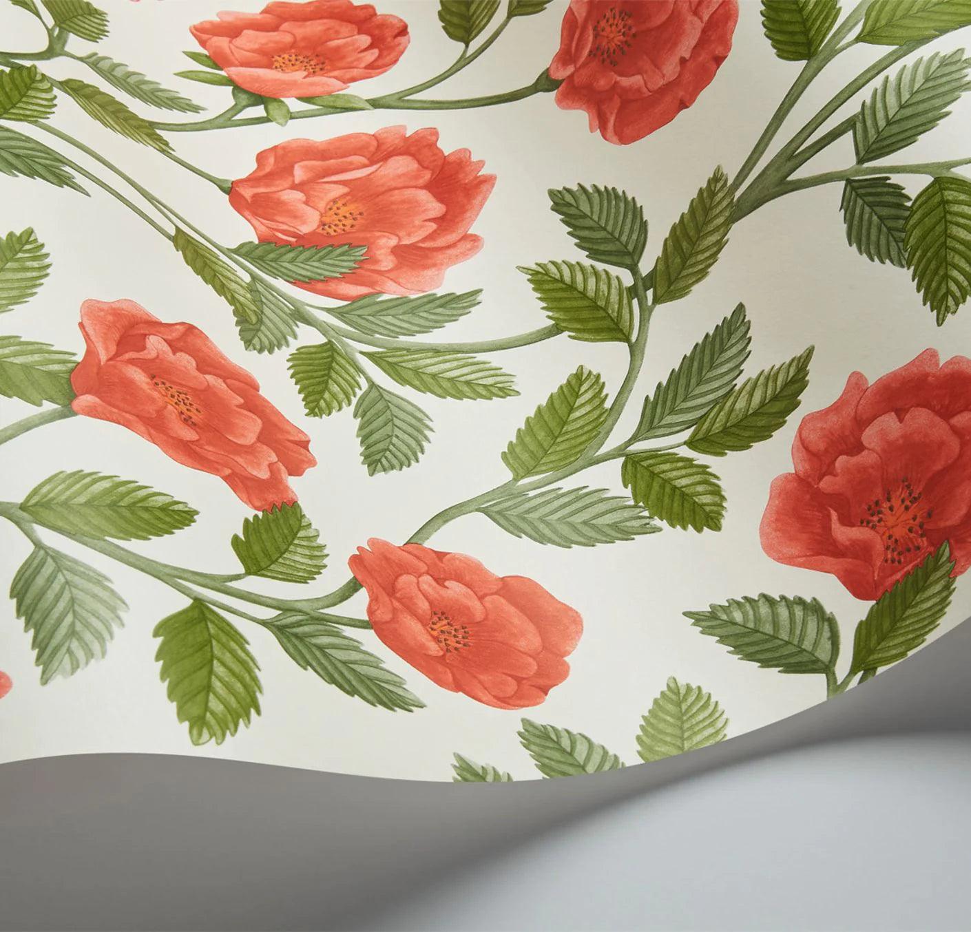 Tapeta z motywem roślinnym liści i kwiatów róży HRP GREAT MASTERS - Hampton Roses czerwony na ścianę – Cole & Son