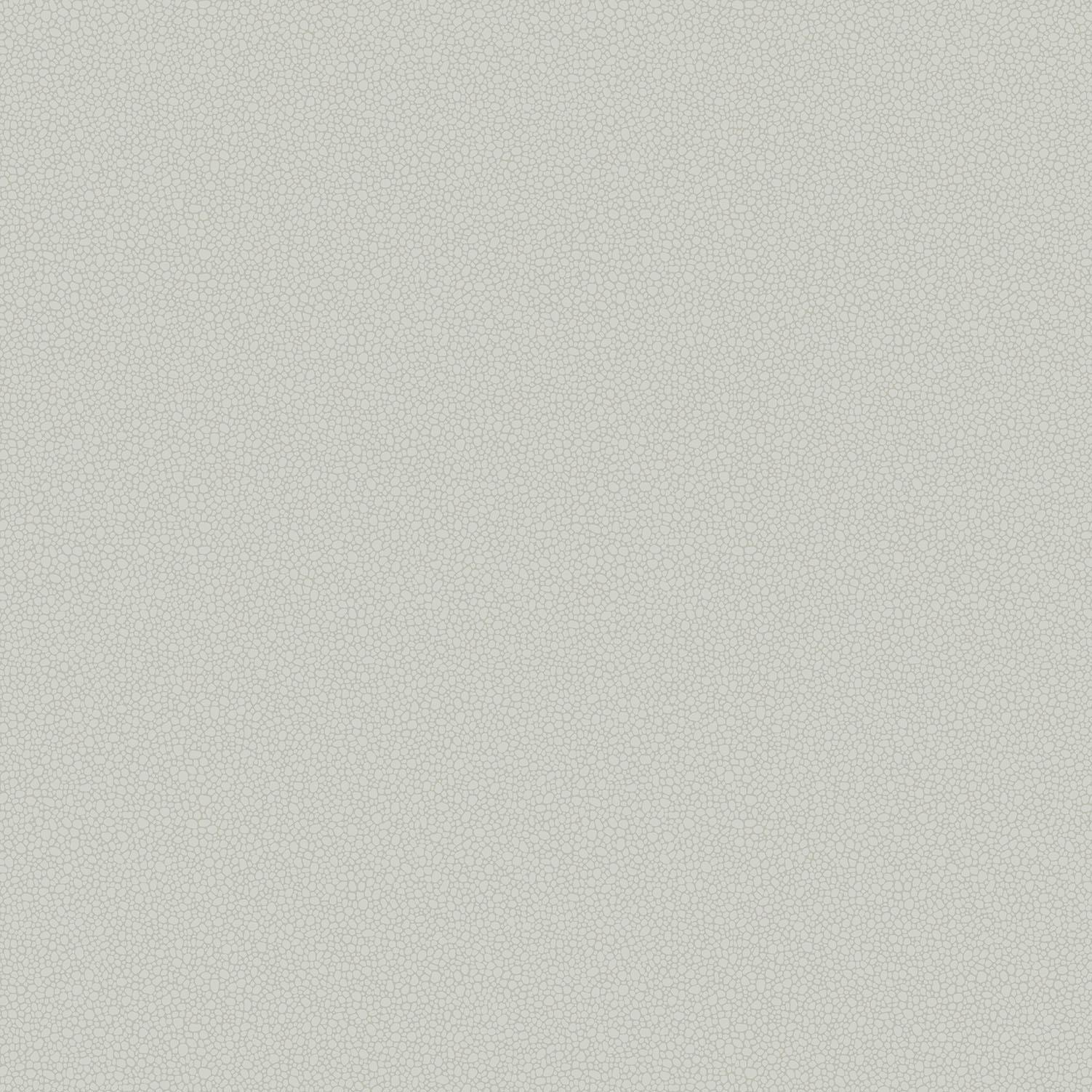 Tapeta LANDSCAPE PLAINS - Pebble jasnoszary Cole & Son Eye on Design