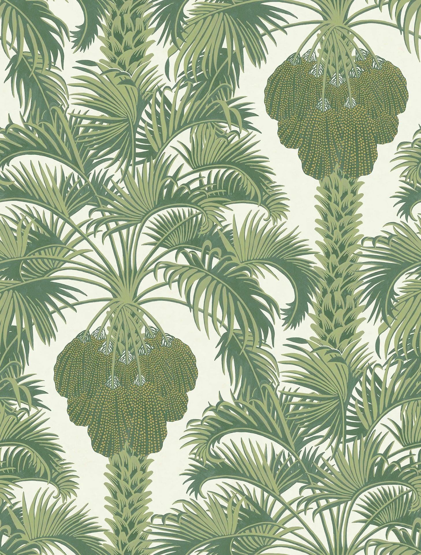 Tapeta MARTYN LAWRENCE BULLARD - Hollywood Palm Cole & Son Eye on Design