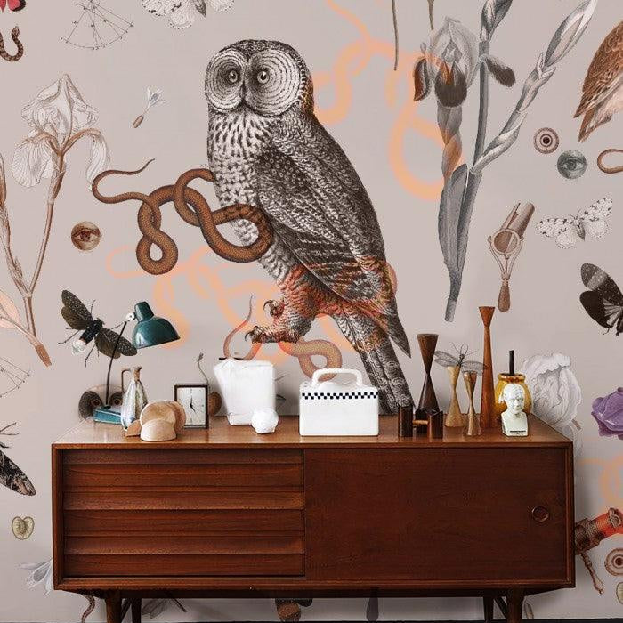 Tapeta PINK OWLS Wallcolors Eye on Design