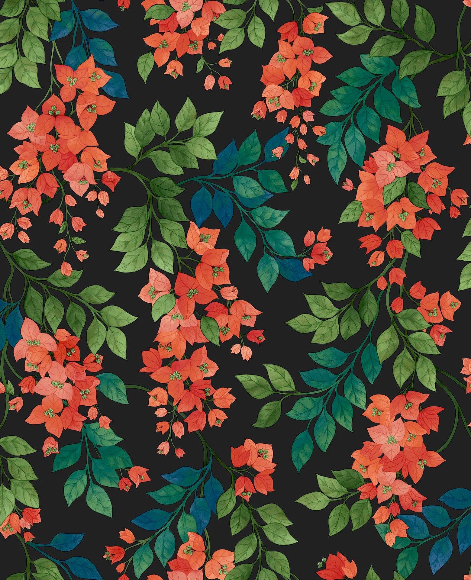 Tapeta SEVILLE - Bougainvillea czerwony na czerni – Cole & Son