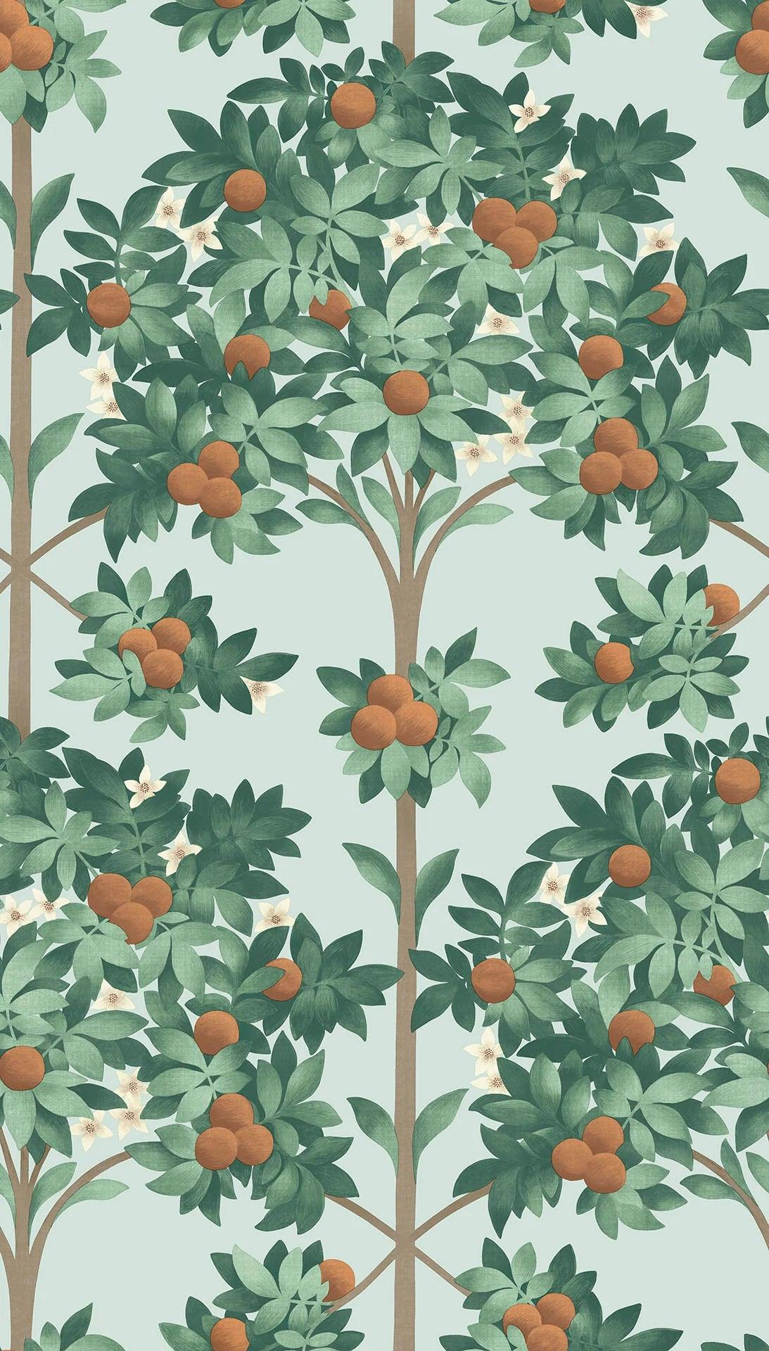 Tapeta SEVILLE - Orange Blossom – Cole & Son