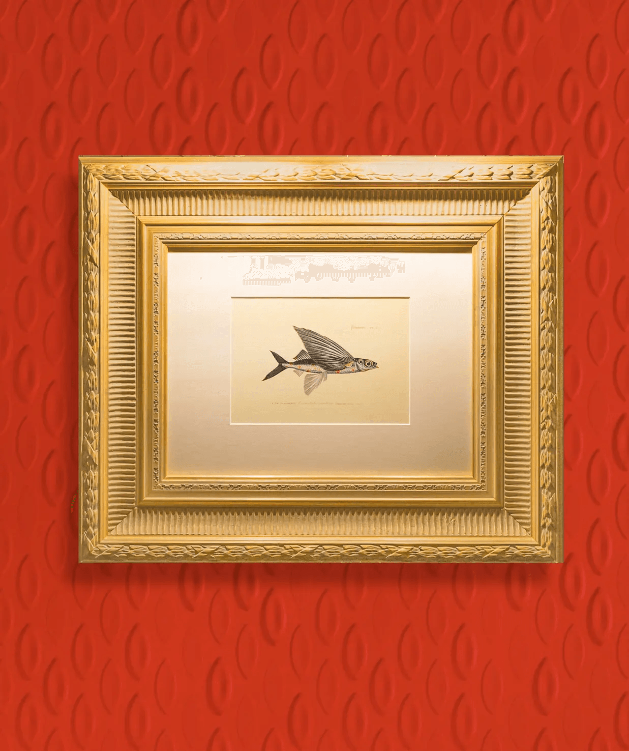 Tapeta trójwymiarowa FLYING CORAL FISH - POPPY na ścianę