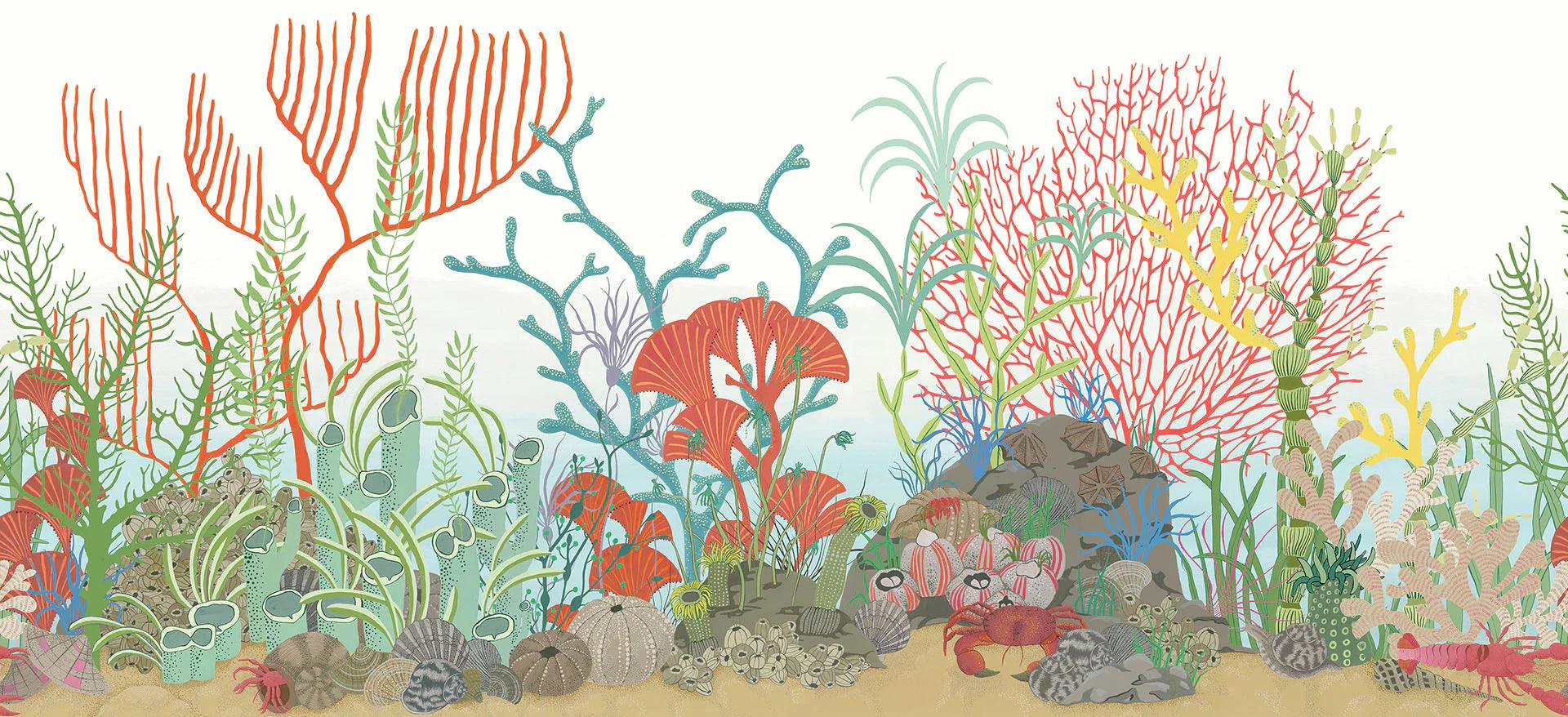 Tapeta border z motywem morskim koralowca WHIMSICAL - Archipelago Border niebieski z czerownym, marka Cole & Son