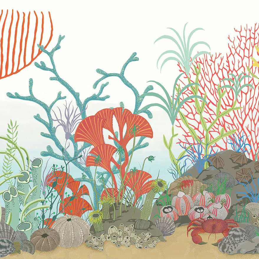 Tapeta border z motywem morskim koralowca WHIMSICAL - Archipelago Border niebieski z czerownym – Cole & Son