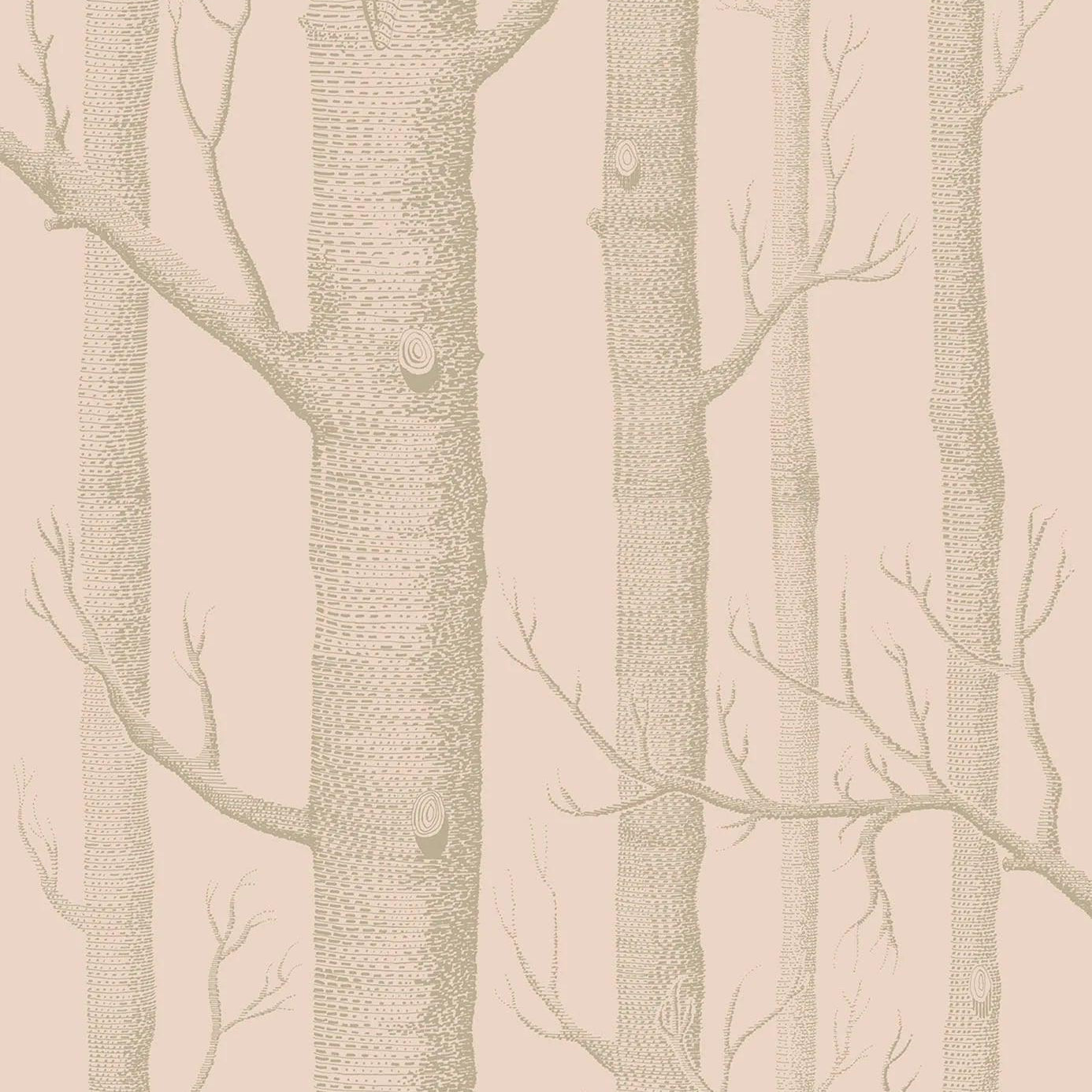 Tapeta WHIMSICAL - Woods brzoskwiniowy Cole & Son Eye on Design