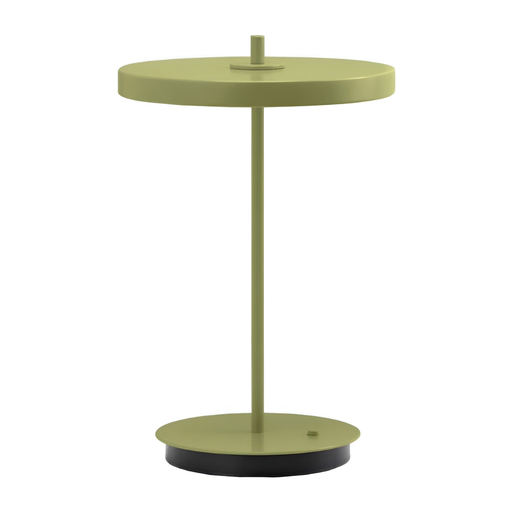 Portable lamp ASTERIA MOVE MONOCHROME green