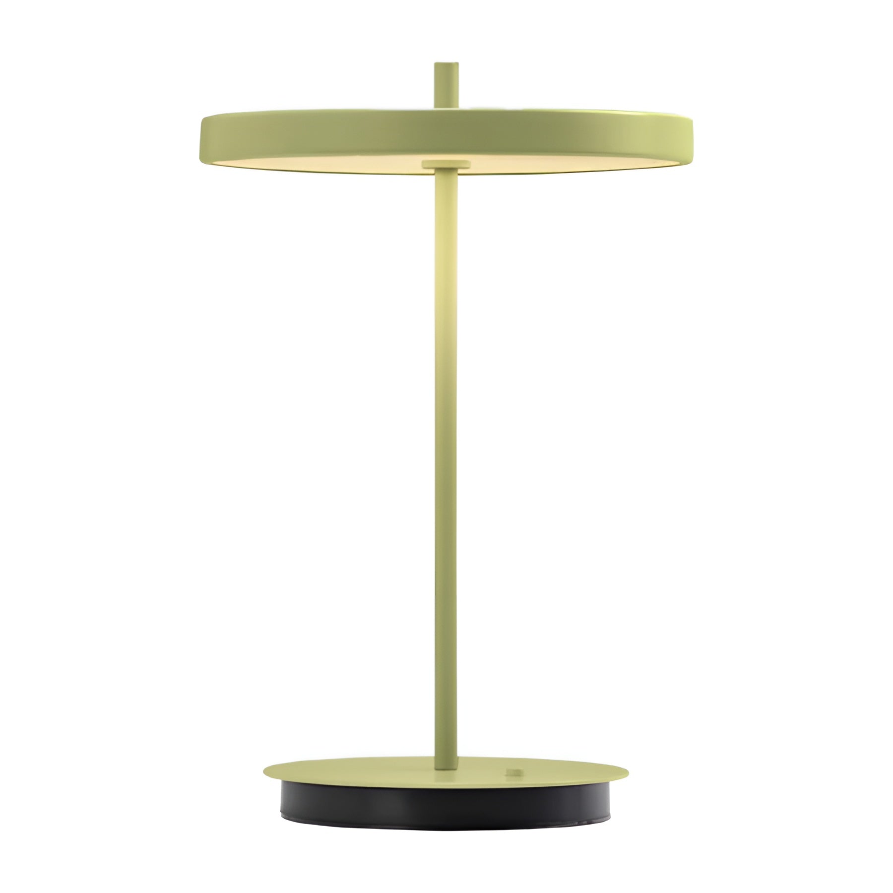 Portable lamp ASTERIA MOVE MONOCHROME green