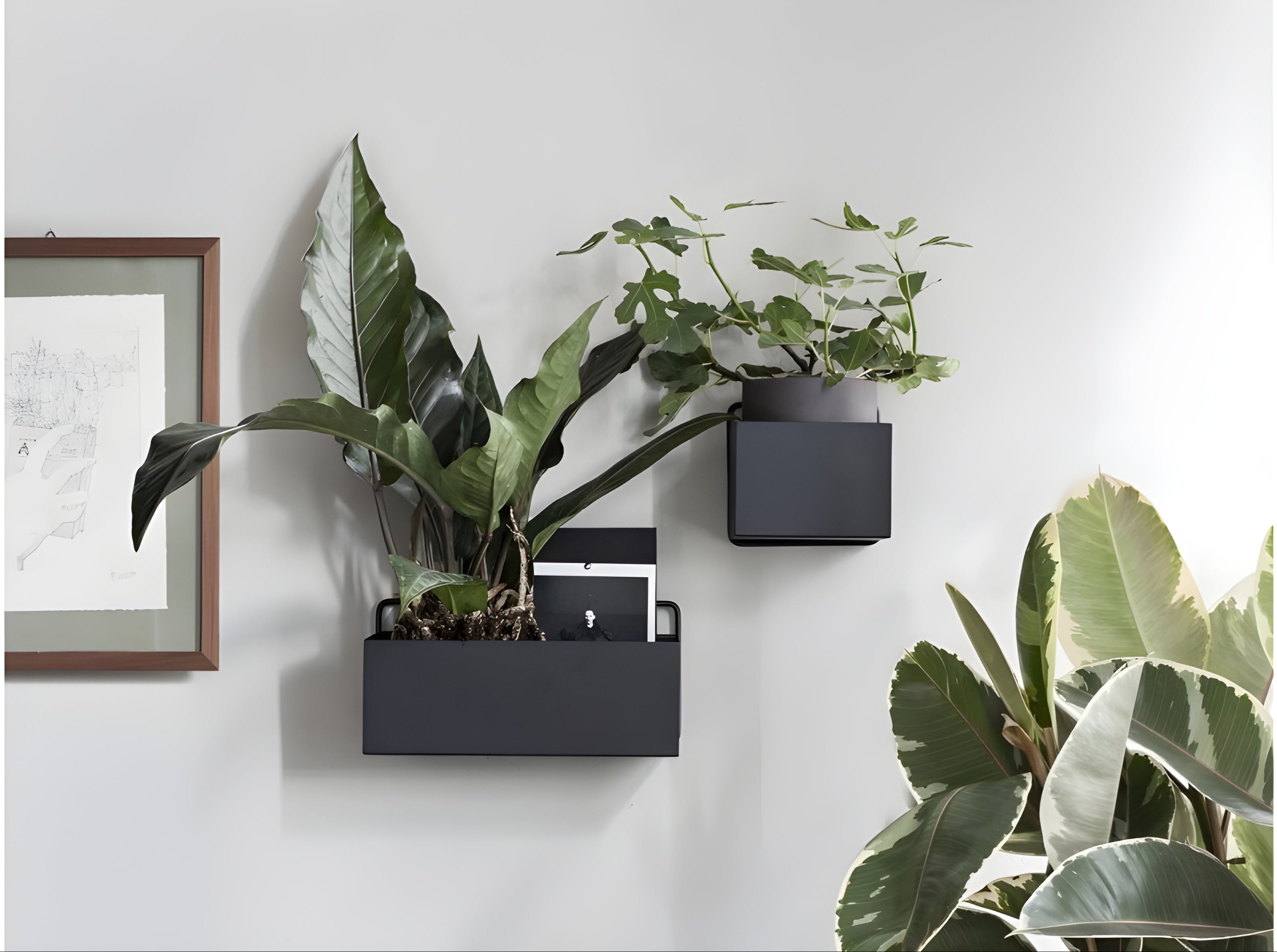 Hangende plantenpot WALL SQUARE BOX zwart