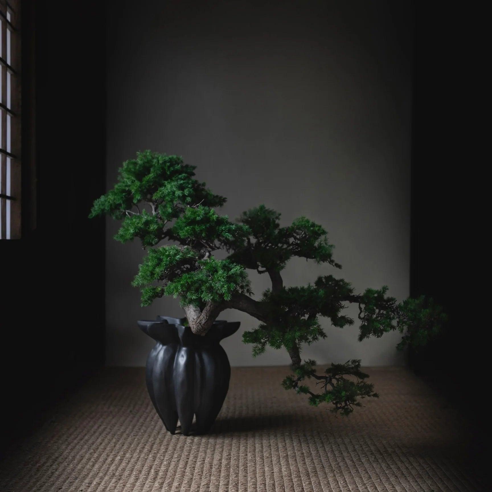 Wazon LOTUS ciemnobrązowy 101 Copenhagen Eye on Design