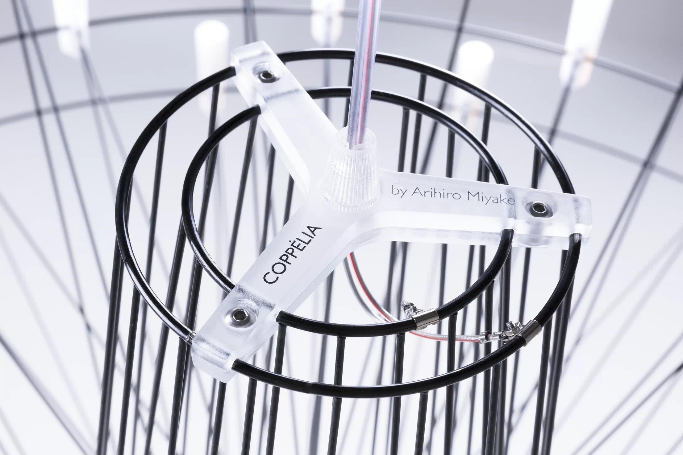 Żyrandol COPPELIA czarny Moooi Eye on Design